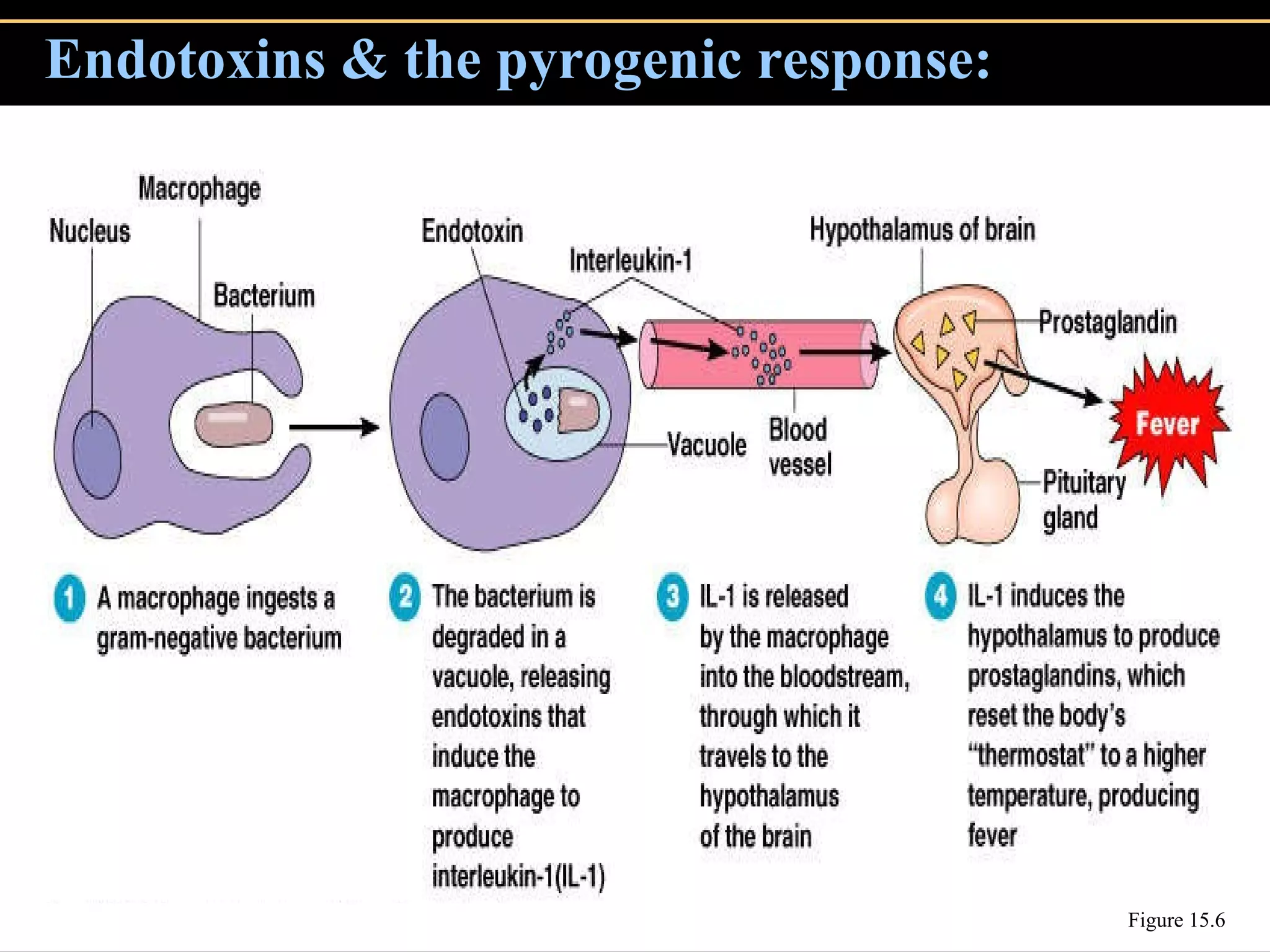 Endotoxins & the pyrogenic response: Figure 15.6 
