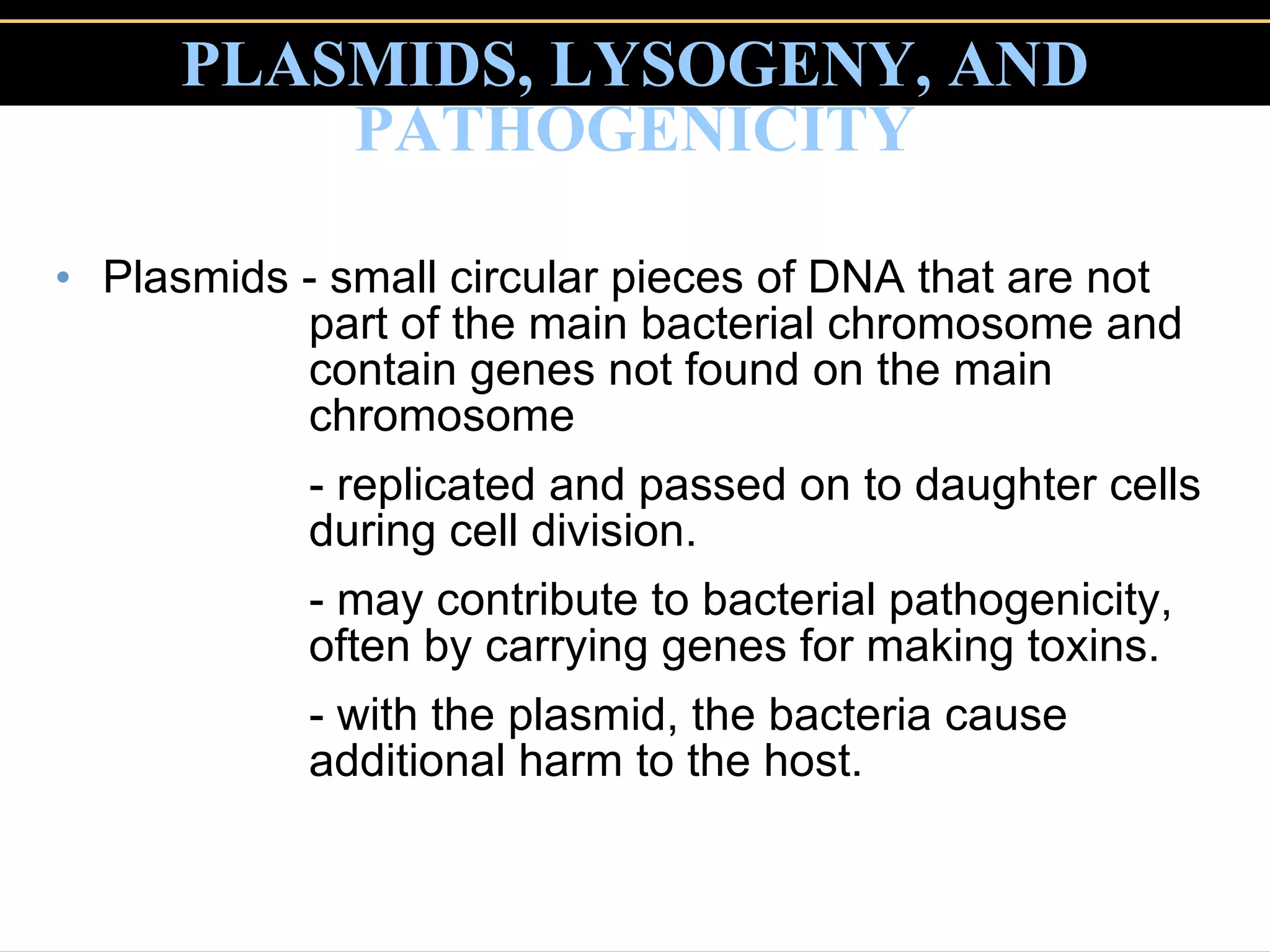 PLASMIDS, LYSOGENY, AND PATHOGENICITY   Plasmids - small circular pieces of DNA that are not  part of the main bacterial chromosome and  contain genes not found on the main  chromosome - replicated and passed on to daughter cells  during cell division.  - may contribute to bacterial pathogenicity,  often by carrying genes for making toxins.  - with the plasmid, the bacteria cause  additional harm to the host.  