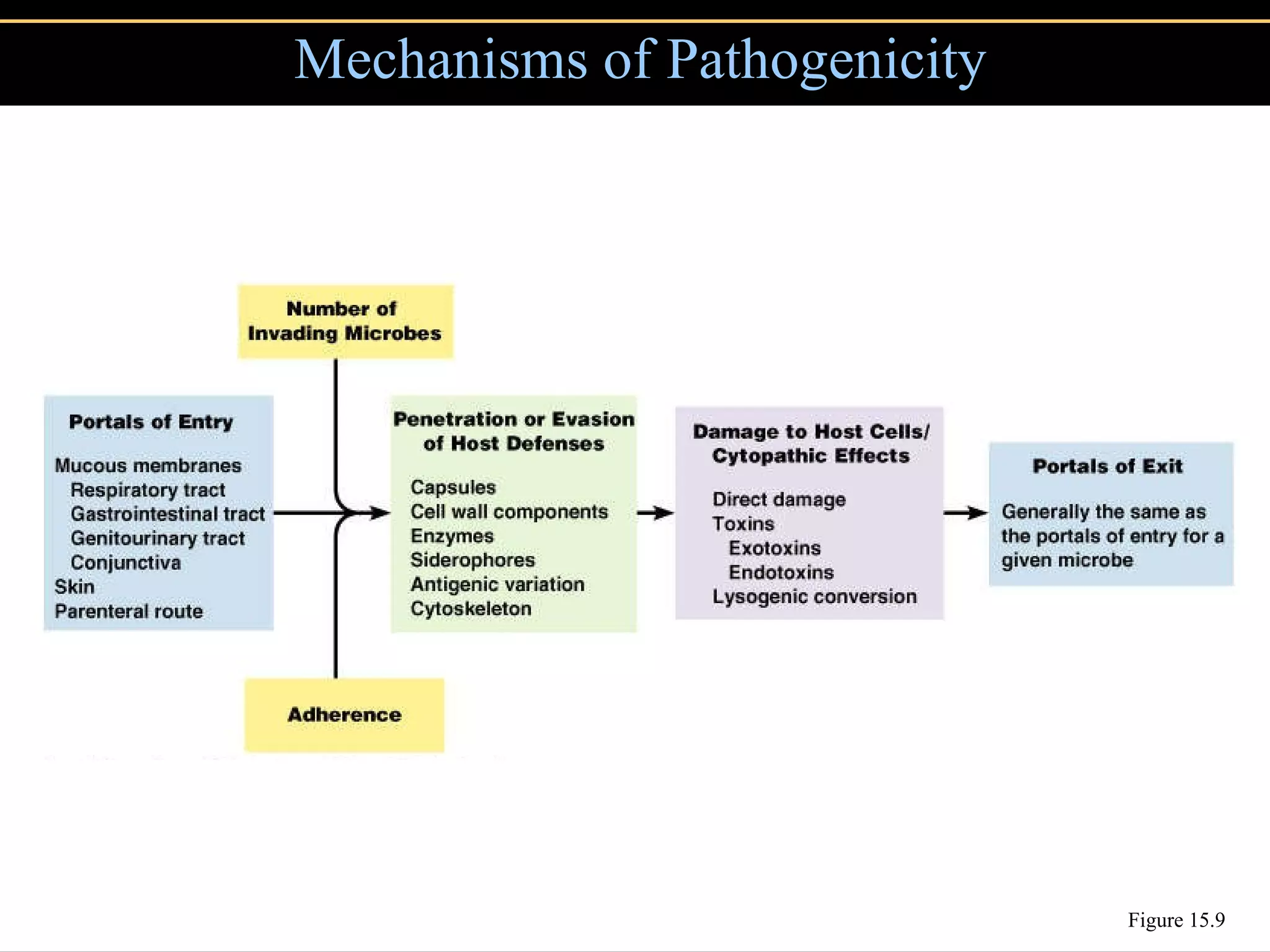 Mechanisms of Pathogenicity Figure 15.9 