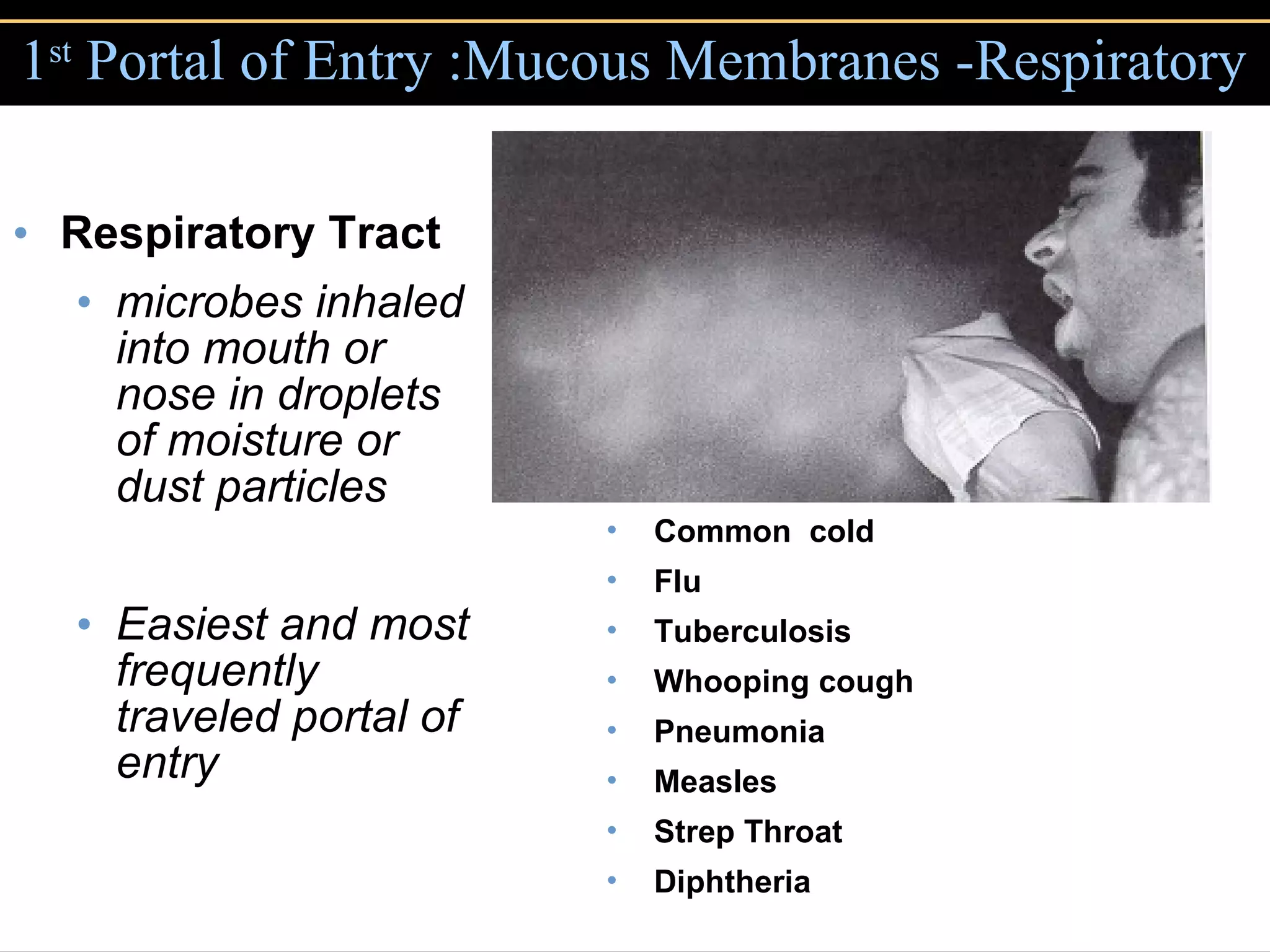 1 st  Portal of Entry :Mucous Membranes -Respiratory Respiratory Tract microbes inhaled into mouth or nose in droplets of moisture or dust particles Easiest and most frequently traveled portal of entry Common  cold Flu Tuberculosis Whooping cough Pneumonia Measles Strep Throat Diphtheria 