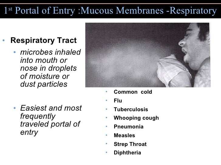 Fat2.chapter15 (pathogenicity)