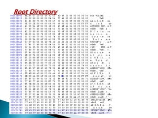 Root Directory
 