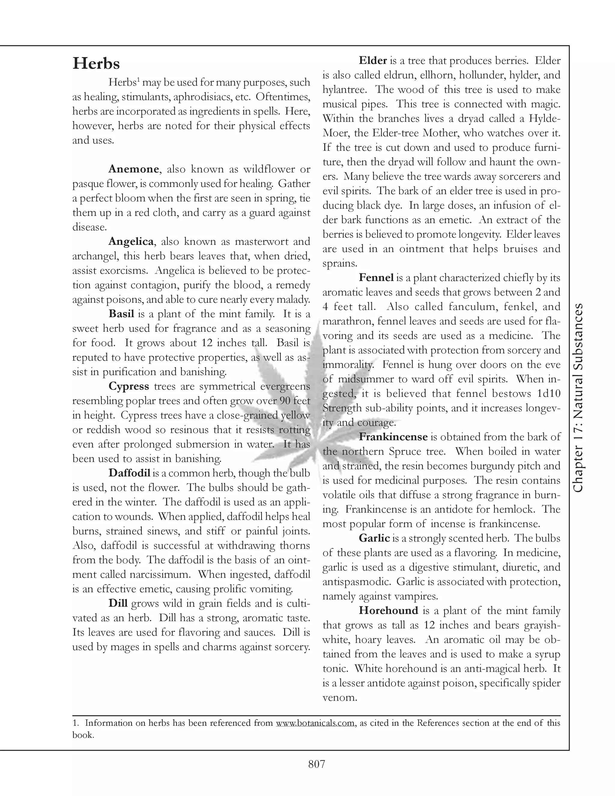 Herbs                                                                   Elder is a tree that produces berries. Elder
                                                              is also called eldrun, ellhorn, hollunder, hylder, and
         Herbs1 may be used for many purposes, such
                                                              hylantree. The wood of this tree is used to make
as healing, stimulants, aphrodisiacs, etc. Oftentimes,
                                                              musical pipes. This tree is connected with magic.
herbs are incorporated as ingredients in spells. Here,
                                                              Within the branches lives a dryad called a Hylde-
however, herbs are noted for their physical effects
                                                              Moer, the Elder-tree Mother, who watches over it.
and uses.
                                                              If the tree is cut down and used to produce furni-
                                                              ture, then the dryad will follow and haunt the own-
         Anemone, also known as wildflower or
                                                              ers. Many believe the tree wards away sorcerers and
pasque flower, is commonly used for healing. Gather
                                                              evil spirits. The bark of an elder tree is used in pro-
a perfect bloom when the first are seen in spring, tie
                                                              ducing black dye. In large doses, an infusion of el-
them up in a red cloth, and carry as a guard against
                                                              der bark functions as an emetic. An extract of the
disease.
                                                              berries is believed to promote longevity. Elder leaves
         Angelica, also known as masterwort and
                                                              are used in an ointment that helps bruises and
archangel, this herb bears leaves that, when dried,
                                                              sprains.
assist exorcisms. Angelica is believed to be protec-
                                                                        Fennel is a plant characterized chiefly by its
tion against contagion, purify the blood, a remedy
                                                              aromatic leaves and seeds that grows between 2 and
against poisons, and able to cure nearly every malady.
                                                              4 feet tall. Also called fanculum, fenkel, and




                                                                                                                             Chapter 17: Natural Substances
         Basil is a plant of the mint family. It is a
                                                              marathron, fennel leaves and seeds are used for fla-
sweet herb used for fragrance and as a seasoning
                                                              voring and its seeds are used as a medicine. The
for food. It grows about 12 inches tall. Basil is
                                                              plant is associated with protection from sorcery and
reputed to have protective properties, as well as as-
                                                              immorality. Fennel is hung over doors on the eve
sist in purification and banishing.
                                                              of midsummer to ward off evil spirits. When in-
         Cypress trees are symmetrical evergreens
                                                              gested, it is believed that fennel bestows 1d10
resembling poplar trees and often grow over 90 feet
                                                              Strength sub-ability points, and it increases longev-
in height. Cypress trees have a close-grained yellow
                                                              ity and courage.
or reddish wood so resinous that it resists rotting
                                                                        Frankincense is obtained from the bark of
even after prolonged submersion in water. It has
                                                              the northern Spruce tree. When boiled in water
been used to assist in banishing.
                                                              and strained, the resin becomes burgundy pitch and
         Daffodil is a common herb, though the bulb
                                                              is used for medicinal purposes. The resin contains
is used, not the flower. The bulbs should be gath-
                                                              volatile oils that diffuse a strong fragrance in burn-
ered in the winter. The daffodil is used as an appli-
                                                              ing. Frankincense is an antidote for hemlock. The
cation to wounds. When applied, daffodil helps heal
                                                              most popular form of incense is frankincense.
burns, strained sinews, and stiff or painful joints.
                                                                        Garlic is a strongly scented herb. The bulbs
Also, daffodil is successful at withdrawing thorns
                                                              of these plants are used as a flavoring. In medicine,
from the body. The daffodil is the basis of an oint-
                                                              garlic is used as a digestive stimulant, diuretic, and
ment called narcissimum. When ingested, daffodil
                                                              antispasmodic. Garlic is associated with protection,
is an effective emetic, causing prolific vomiting.
                                                              namely against vampires.
         Dill grows wild in grain fields and is culti-
                                                                        Horehound is a plant of the mint family
vated as an herb. Dill has a strong, aromatic taste.
                                                              that grows as tall as 12 inches and bears grayish-
Its leaves are used for flavoring and sauces. Dill is
                                                              white, hoary leaves. An aromatic oil may be ob-
used by mages in spells and charms against sorcery.
                                                              tained from the leaves and is used to make a syrup
                                                              tonic. White horehound is an anti-magical herb. It
                                                              is a lesser antidote against poison, specifically spider
                                                              venom.

1. Information on herbs has been referenced from www.botanicals.com, as cited in the References section at the end of this
book.

                                                          807
 