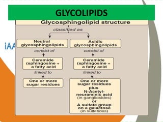 GLYCOLIPIDS