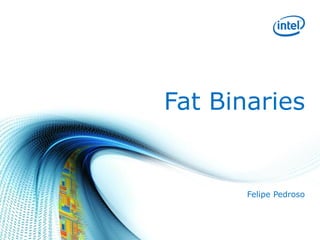 Fat Binaries
Felipe Pedroso
 
