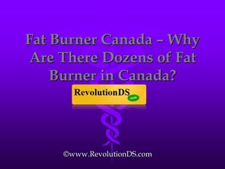 Fat Burner Canada – Why Are There Dozens of Fat Burner in Canada? ©www.RevolutionDS.com 