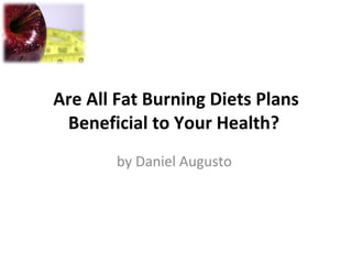 Are All Fat Burning Diets Plans Beneficial to Your Health?  by Daniel Augusto  