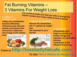 Fat Burning Vitamins – 3 Vitamins For Weight Loss   ,[object Object],[object Object],[object Object],[object Object],[object Object],[object Object],[object Object],[object Object],[object Object],[object Object],3. Vitamin B5  (Pantothetic acid   ) helps to provide you further energy and regulate your adrenaline  function.   Contributes to the efficient fat burning. It is crucial to make sure that you take in enough the vitamin content your body needs to work properly. 