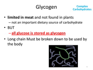 Glycogen

Complex
Carbohydrates

• limited in meat and not found in plants
– not an important dietary source of carbohydra...