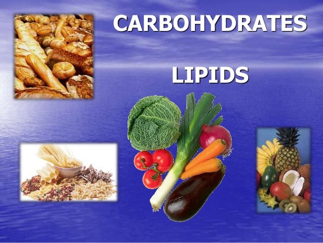 how are lipids like carbohydrates how are lipids like carbohydrates