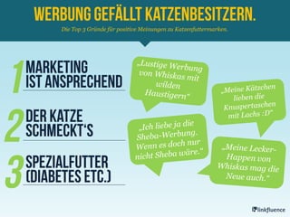 Die Top 3 Gründe für positive Meinungen zu Katzenfuttermarken.
 