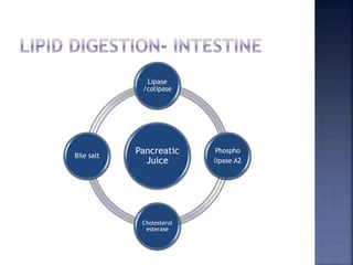 Pancreatic
Juice
Lipase
/colipase
Phospho
lipase A2
Cholesterol
esterase
Bile salt
 