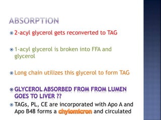  2-acyl glycerol gets reconverted to TAG
 1-acyl glycerol is broken into FFA and
glycerol
 Long chain utilizes this glycerol to form TAG
 TAGs, PL, CE are incorporated with Apo A and
Apo B48 forms a and circulated
 
