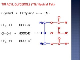 TRI ACYL GLYCEROLS (TG/Neutral Fat)
Glycerol + Fatty acid ----> TAG
CH2-OH HOOC-R
CH-OH + HOOC-R’ ------->
CH2-OH HOOC-R’’
 