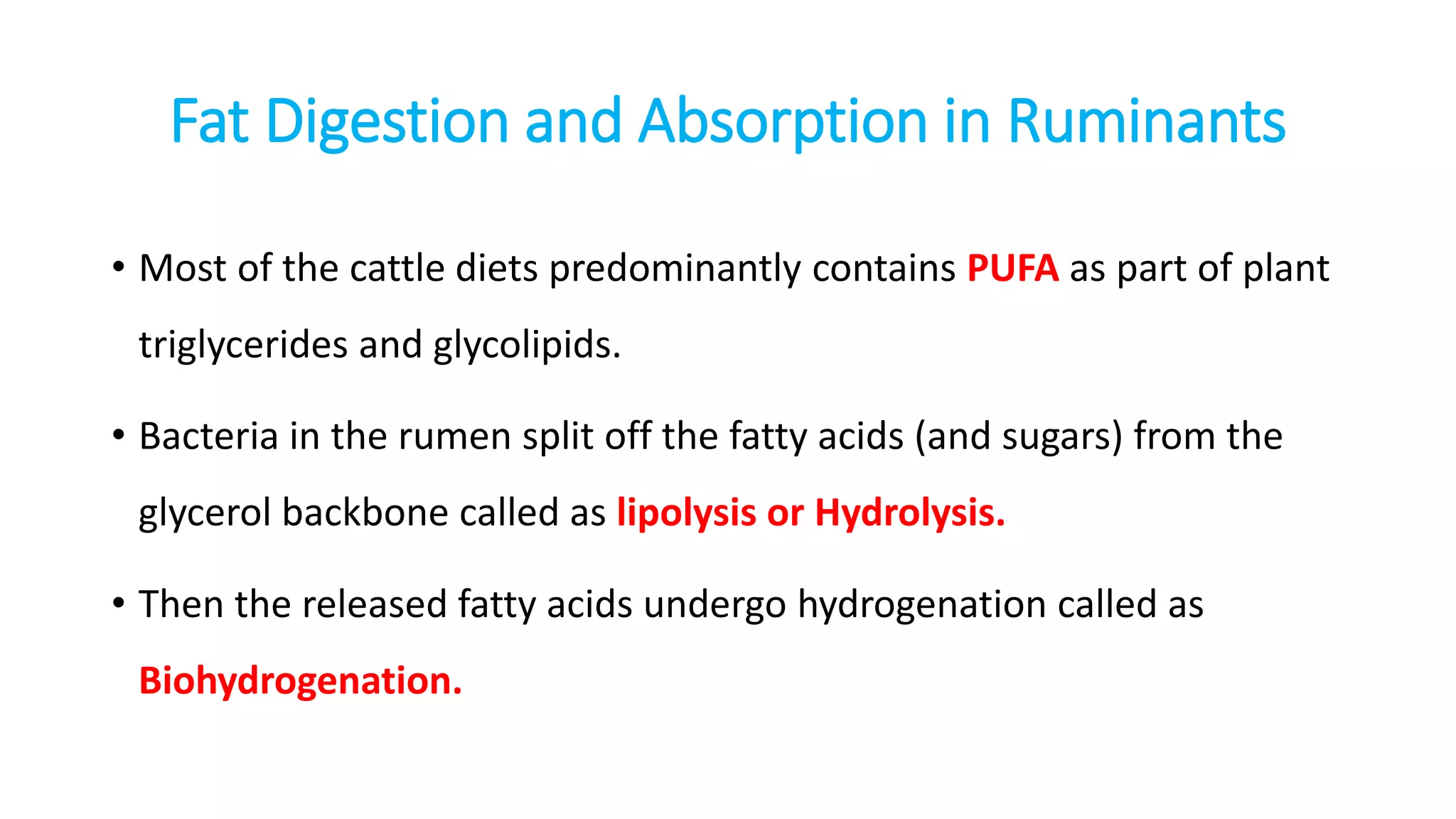 Fat digestion and metabolism in ruminants | PPTX