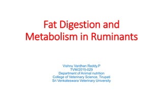Fat Digestion and
Metabolism in Ruminants
Vishnu Vardhan Reddy.P
TVM/2015-029
Department of Animal nutrition
College of Veterinary Science, Tirupati
Sri Venkateswara Veterinary University
 