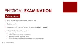 PHYSICAL EXAMINATION
 Might be hard to differentiate in the front legs.
 Cold extremities
 The foot pads of the affected limb(s) are often Pale or Cyanotic.
 If the embolized thrombus is small
 Rapidly lyzed
 Collateral function is quickly reestablished
 Motor function may be present again
 Foot pads may be well-perfused by the time the cat is presented.
Pulselessness
Dr.Hadi ALİHOSSEİNİ
 
