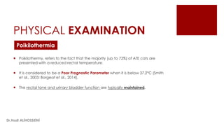 PHYSICAL EXAMINATION
 Poikilothermy, refers to the fact that the majority (up to 72%) of ATE cats are
presented with a reduced rectal temperature.
 It is considered to be a Poor Prognostic Parameter when it is below 37.2°C (Smith
et al., 2003; Borgeat et al., 2014).
 The rectal tone and urinary bladder function are typically maintained.
Poikilothermia
Dr.Hadi ALİHOSSEİNİ
 