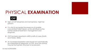 PHYSICAL EXAMINATION
 Signs of CHF (Dyspnea and tachypnea), might be
present.
 It is vital to recognize the presence of possible
concomitant heart failure, as this will influence the
further medical treatment, management and
prognosis.
 CHF has been reported in 44% to 66% of cases (Smith
and Tobias, 2004).
 An increased respiration rate should not automatically
be interpreted as diagnostic of CHF, since the animal
may be tachypneic only due to severe pain.
CHF
Dr.Hadi ALİHOSSEİNİ
 