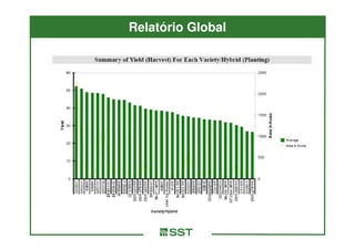 Relatório Global
 