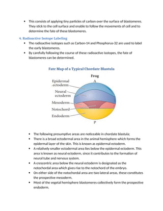 Fate Maps - Construction of fate maps - Developmental Biology.docx