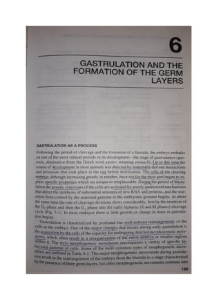 Fate maps and gastrulation