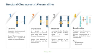 Chromosomal Abnormalities: Numerical and Structural Etiologies in Human ...