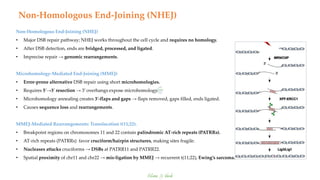 Microhomologies Chromosomal Abnormalities: Numerical and Structural Etiologies in Human ...