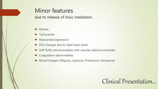 Minor features
due to release of toxic mediators
 Pyrexia
 Tachycardia
 Myocardial depression
 ECG changes due to right heart strain
 Soft fluffy retinal exudates with macular edema scotomata
 Coagulation abnormalities
 Renal Changes (Oliguria, Lipiduria, Proteinuria, Hematuria)
Clinical Presentation…
 