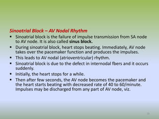 Sinoatrial Block – AV Nodal Rhythm
 Sinoatrial block is the failure of impulse transmission from SA node
to AV node. It is also called sinus block.
 During sinoatrial block, heart stops beating. Immediately, AV node
takes over the pacemaker function and produces the impulses.
 This leads to AV nodal (atrioventricular) rhythm.
 Sinoatrial block is due to the defect in internodal fbers and it occurs
suddenly.
 Initially, the heart stops for a while.
 Then after few seconds, the AV node becomes the pacemaker and
the heart starts beating with decreased rate of 40 to 60/minute.
Impulses may be discharged from any part of AV node, viz.
18
 