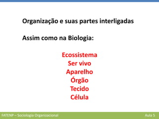 FATENP – Sociologia Organizacional Aula 5
Organização e suas partes interligadas
Assim como na Biologia:
Ecossistema
Ser vivo
Aparelho
Órgão
Tecido
Célula
 