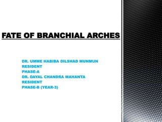 DR. UMME HABIBA DILSHAD MUNMUN
RESIDENT
PHASE-A
DR. DAYAL CHANDRA MAHANTA
RESIDENT
PHASE-B (YEAR-3)
FATE OF BRANCHIAL ARCHES
 