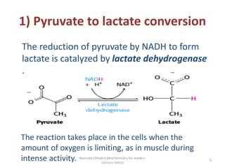 Fate Of Pyruvate A Quick Review Fate Of Pyruvate A Quick Review