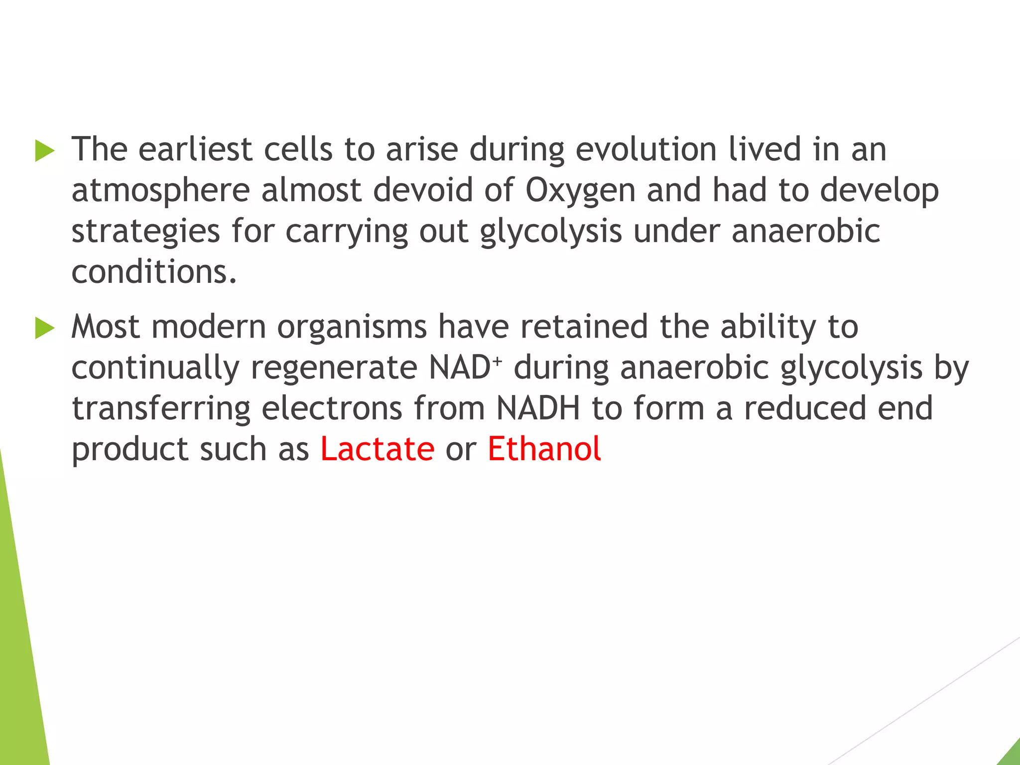 The earliest cells to arise during evolution lived in an
atmosphere almost devoid of Oxygen and had to develop
strategies for carrying out glycolysis under anaerobic
conditions.
 Most modern organisms have retained the ability to
continually regenerate NAD+ during anaerobic glycolysis by
transferring electrons from NADH to form a reduced end
product such as Lactate or Ethanol
 