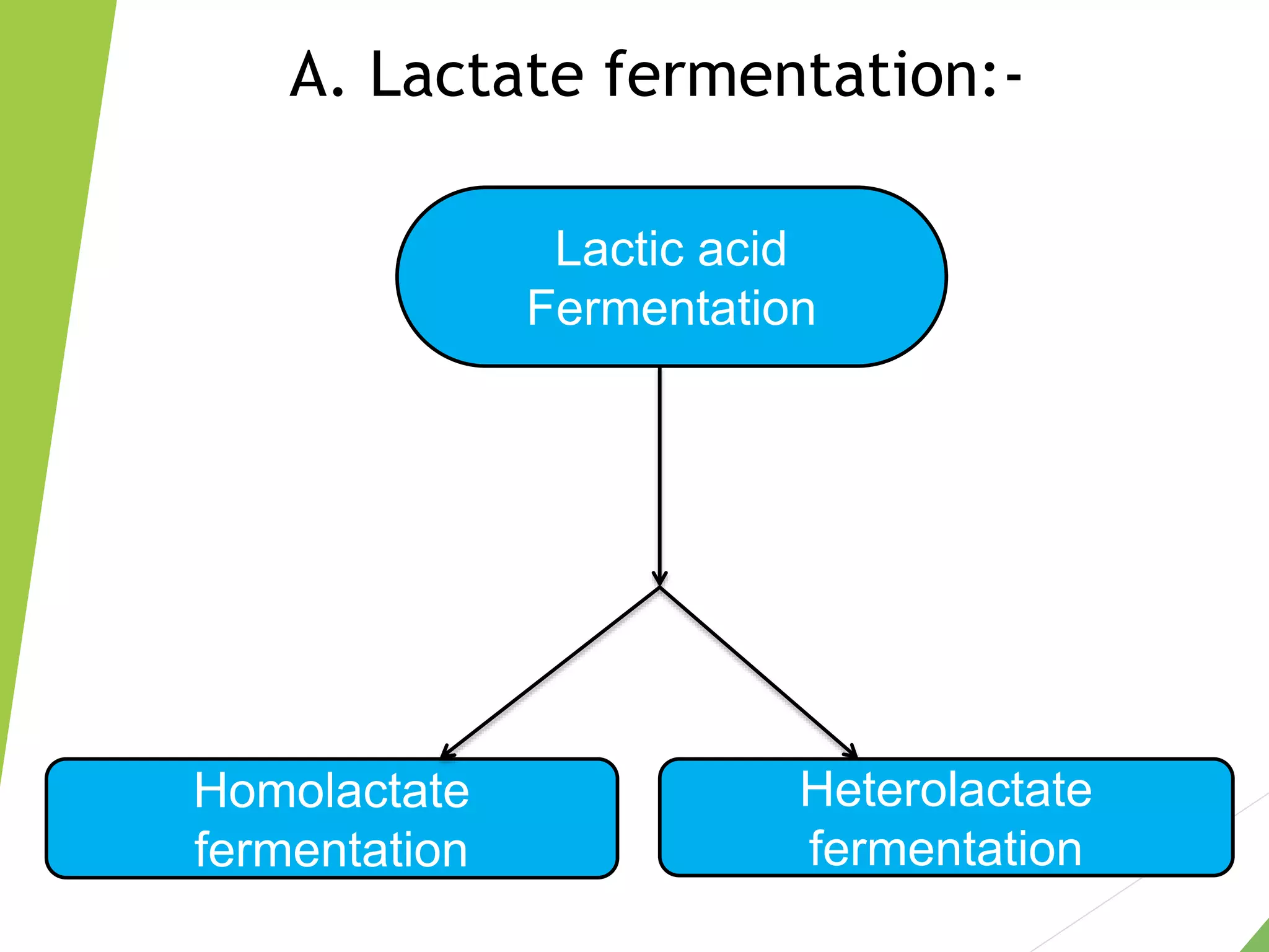Lactic acid
Fermentation
Homolactate
fermentation
Heterolactate
fermentation
A. Lactate fermentation:-
 