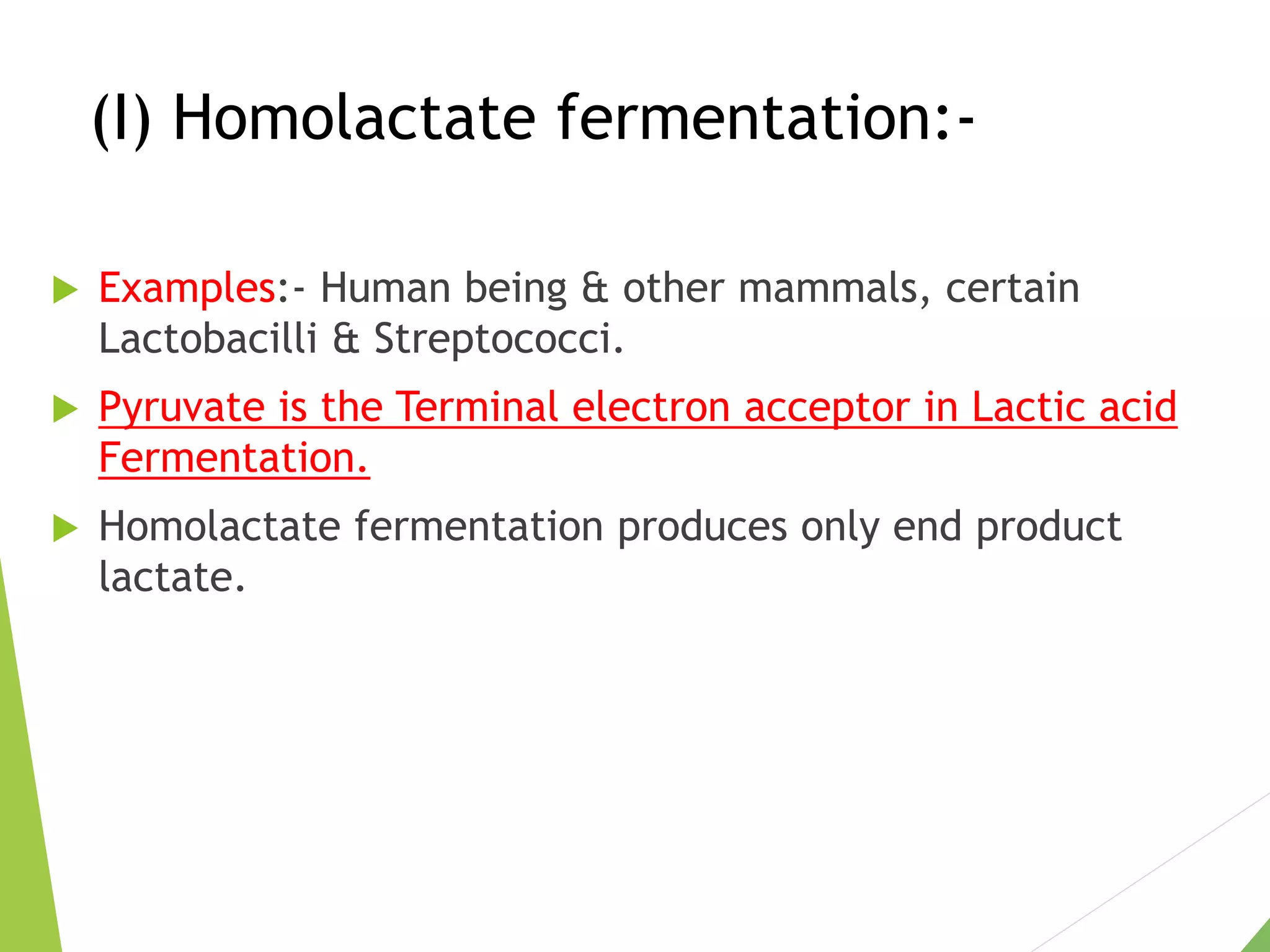 (I) Homolactate fermentation:-
 Examples:- Human being & other mammals, certain
Lactobacilli & Streptococci.
 Pyruvate is the Terminal electron acceptor in Lactic acid
Fermentation.
 Homolactate fermentation produces only end product
lactate.
 