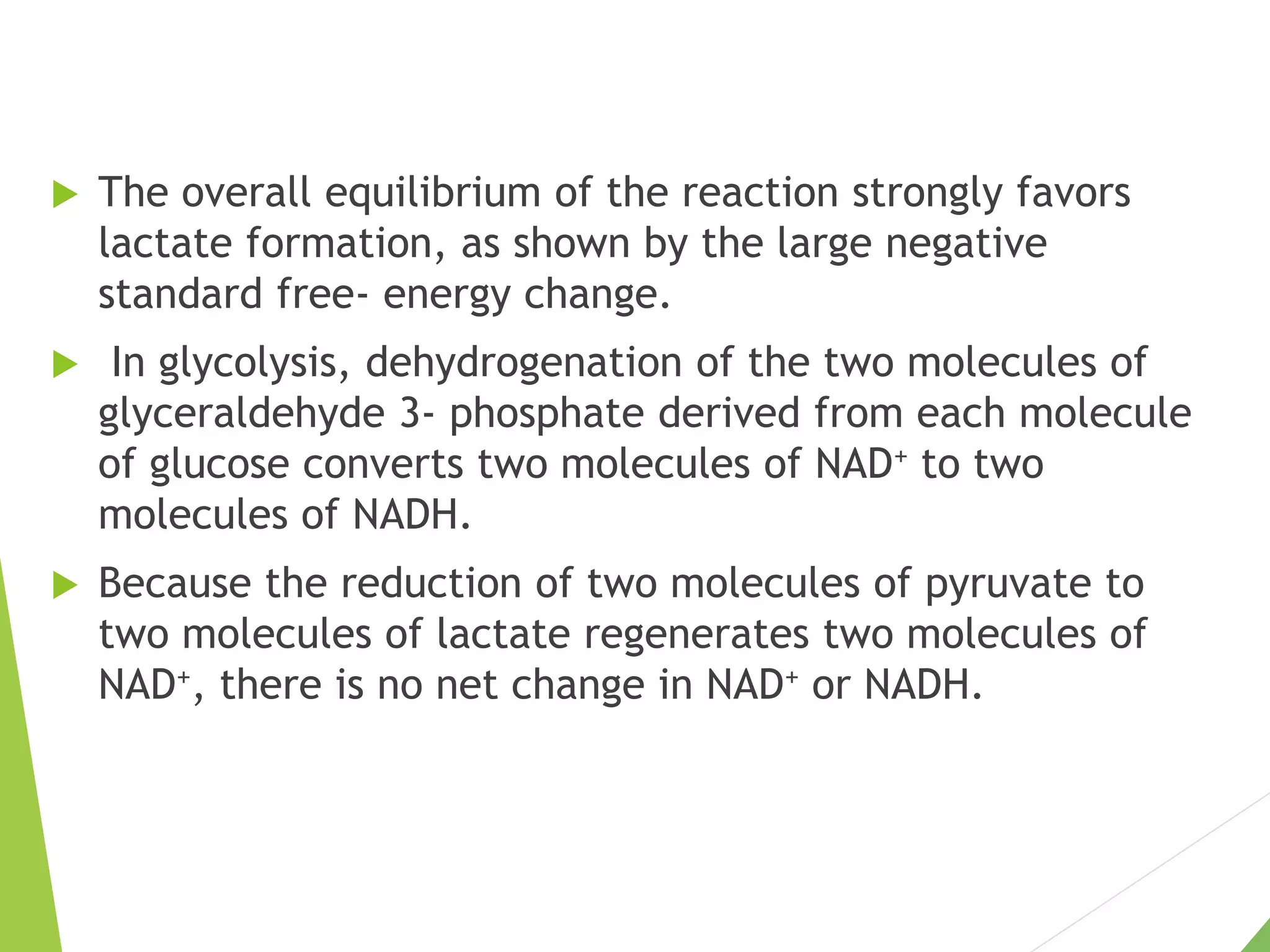  The overall equilibrium of the reaction strongly favors
lactate formation, as shown by the large negative
standard free- energy change.
 In glycolysis, dehydrogenation of the two molecules of
glyceraldehyde 3- phosphate derived from each molecule
of glucose converts two molecules of NAD+ to two
molecules of NADH.
 Because the reduction of two molecules of pyruvate to
two molecules of lactate regenerates two molecules of
NAD+, there is no net change in NAD+ or NADH.
 