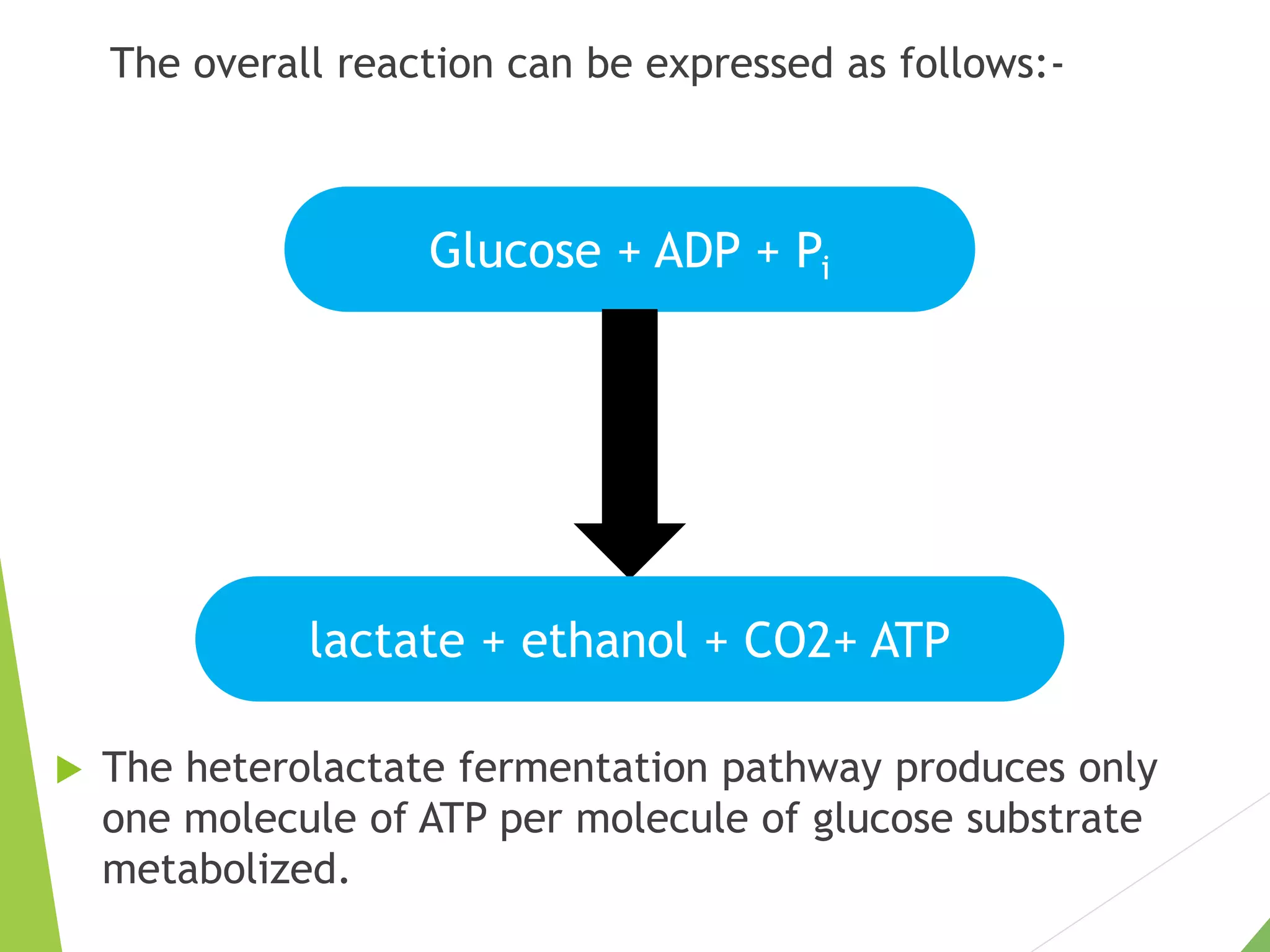 Glucose + ADP + Pi
lactate + ethanol + CO2+ ATP
The overall reaction can be expressed as follows:-
 The heterolactate fermentation pathway produces only
one molecule of ATP per molecule of glucose substrate
metabolized.
 