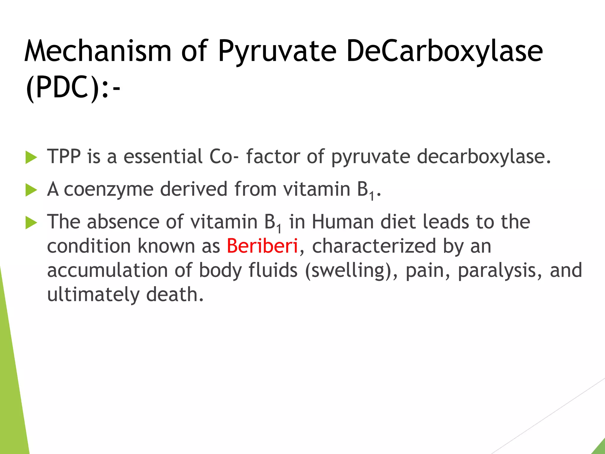Mechanism of Pyruvate DeCarboxylase
(PDC):-
 TPP is a essential Co- factor of pyruvate decarboxylase.
 A coenzyme derived from vitamin B1.
 The absence of vitamin B1 in Human diet leads to the
condition known as Beriberi, characterized by an
accumulation of body fluids (swelling), pain, paralysis, and
ultimately death.
 