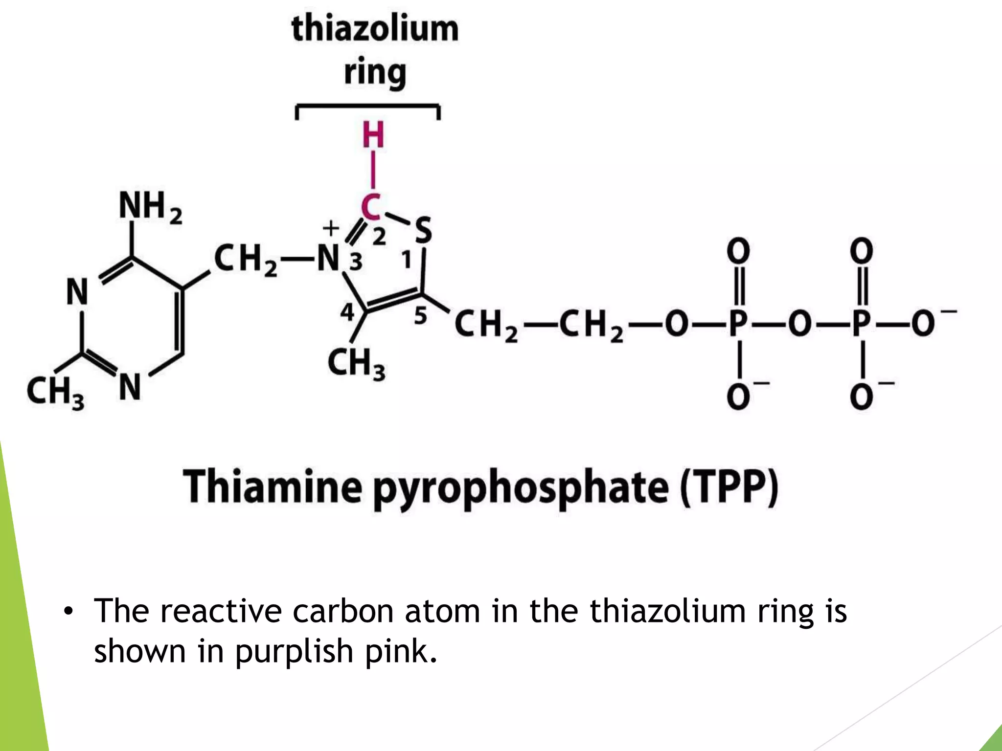 • The reactive carbon atom in the thiazolium ring is
shown in purplish pink.
 