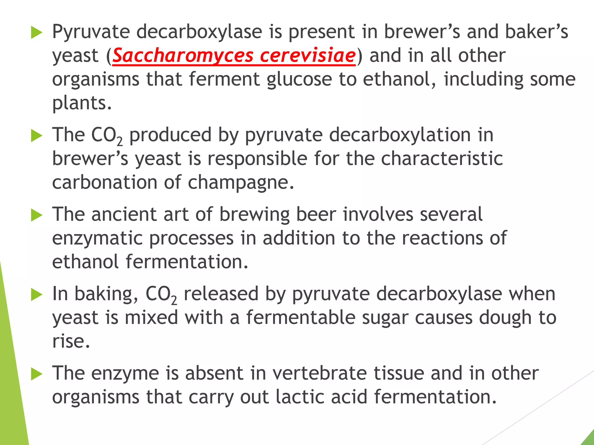  Pyruvate decarboxylase is present in brewer’s and baker’s
yeast (Saccharomyces cerevisiae) and in all other
organisms that ferment glucose to ethanol, including some
plants.
 The CO2 produced by pyruvate decarboxylation in
brewer’s yeast is responsible for the characteristic
carbonation of champagne.
 The ancient art of brewing beer involves several
enzymatic processes in addition to the reactions of
ethanol fermentation.
 In baking, CO2 released by pyruvate decarboxylase when
yeast is mixed with a fermentable sugar causes dough to
rise.
 The enzyme is absent in vertebrate tissue and in other
organisms that carry out lactic acid fermentation.
 