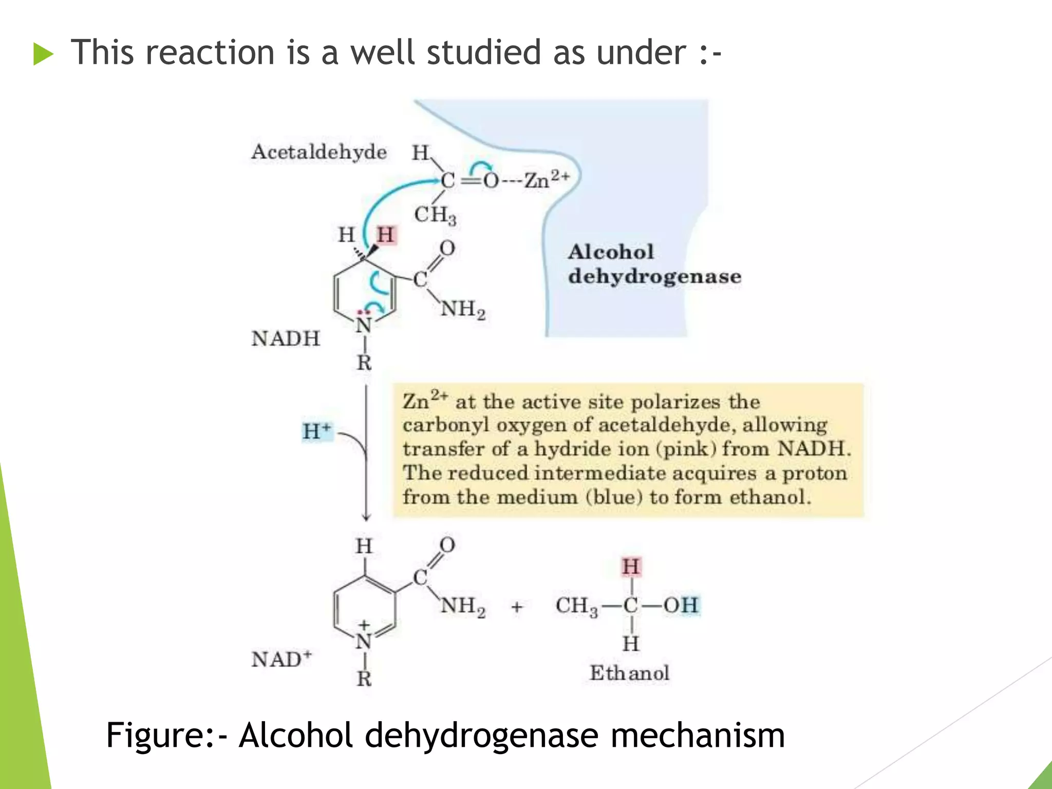  This reaction is a well studied as under :-
Figure:- Alcohol dehydrogenase mechanism
 