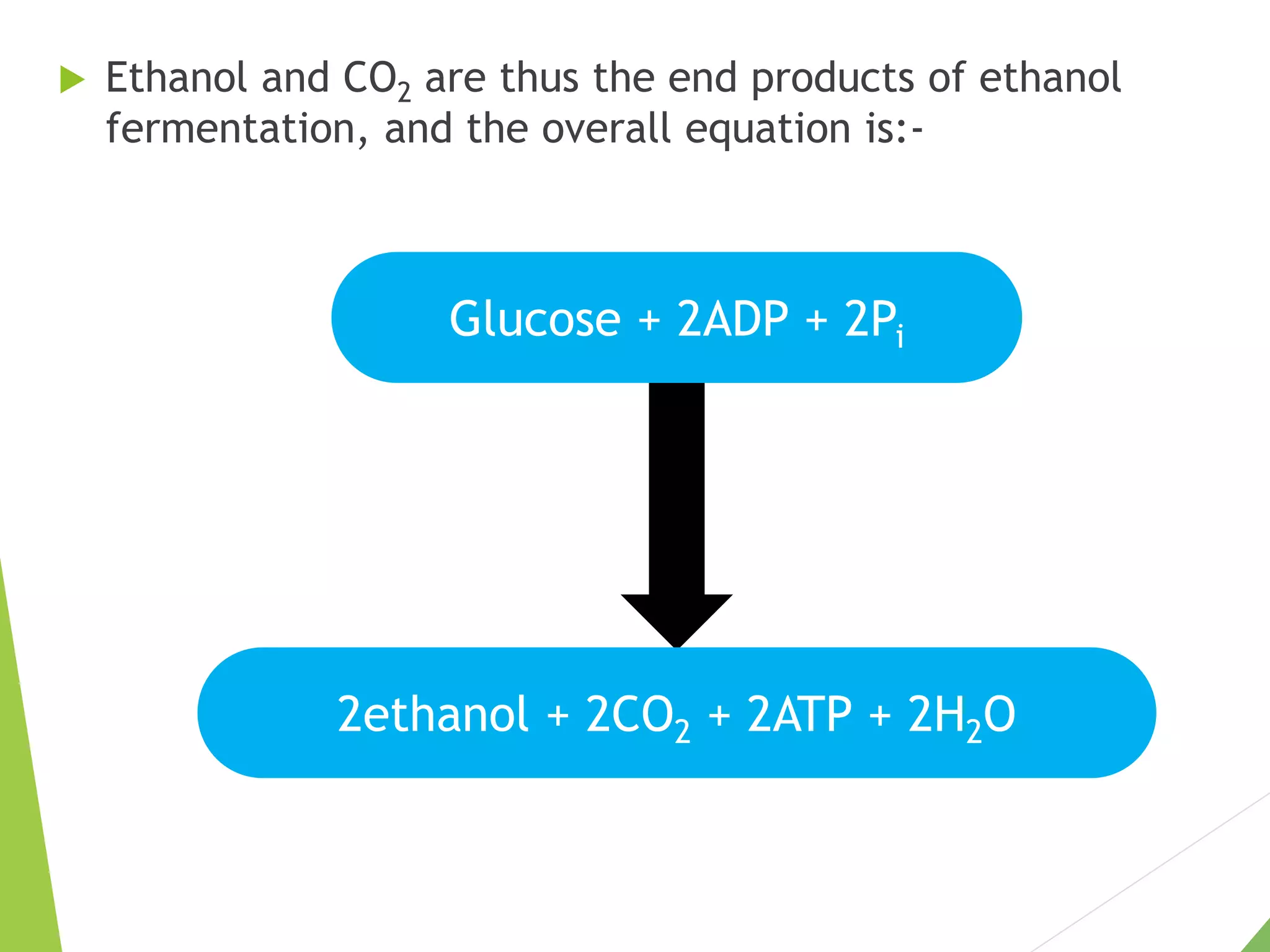 2ethanol + 2CO2 + 2ATP + 2H2O
Glucose + 2ADP + 2Pi
 Ethanol and CO2 are thus the end products of ethanol
fermentation, and the overall equation is:-
 