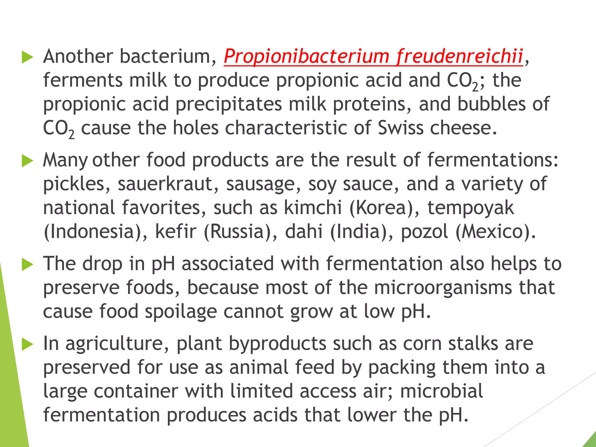  Another bacterium, Propionibacterium freudenreichii,
ferments milk to produce propionic acid and CO2; the
propionic acid precipitates milk proteins, and bubbles of
CO2 cause the holes characteristic of Swiss cheese.
 Many other food products are the result of fermentations:
pickles, sauerkraut, sausage, soy sauce, and a variety of
national favorites, such as kimchi (Korea), tempoyak
(Indonesia), kefir (Russia), dahi (India), pozol (Mexico).
 The drop in pH associated with fermentation also helps to
preserve foods, because most of the microorganisms that
cause food spoilage cannot grow at low pH.
 In agriculture, plant byproducts such as corn stalks are
preserved for use as animal feed by packing them into a
large container with limited access air; microbial
fermentation produces acids that lower the pH.
 