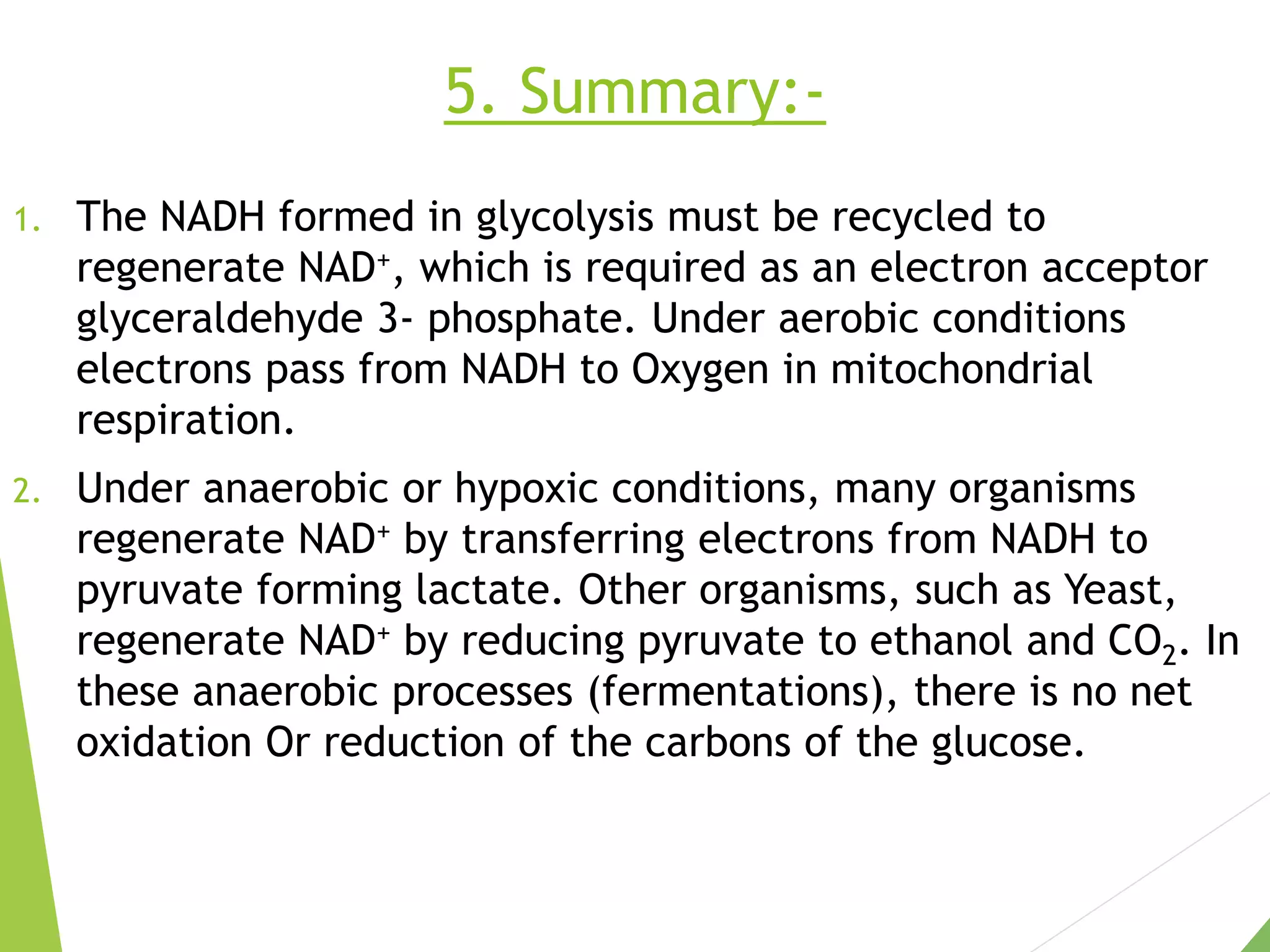 5. Summary:-
1. The NADH formed in glycolysis must be recycled to
regenerate NAD+, which is required as an electron acceptor
glyceraldehyde 3- phosphate. Under aerobic conditions
electrons pass from NADH to Oxygen in mitochondrial
respiration.
2. Under anaerobic or hypoxic conditions, many organisms
regenerate NAD+ by transferring electrons from NADH to
pyruvate forming lactate. Other organisms, such as Yeast,
regenerate NAD+ by reducing pyruvate to ethanol and CO2. In
these anaerobic processes (fermentations), there is no net
oxidation Or reduction of the carbons of the glucose.
 