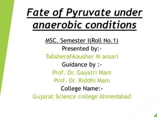 Fate of Pyruvate under
anaerobic conditions
MSC. Semester I(Roll No.1)
Presented by:-
Tabsherahkausher M ansari
Guidance by :-
Prof. Dr. Gayatri Mam
Prof. Dr. Riddhi Mam
College Name:-
Gujarat Science college Ahmedabad
 