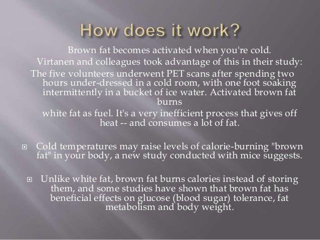 Weight loss prescriptions 2015 picture 9