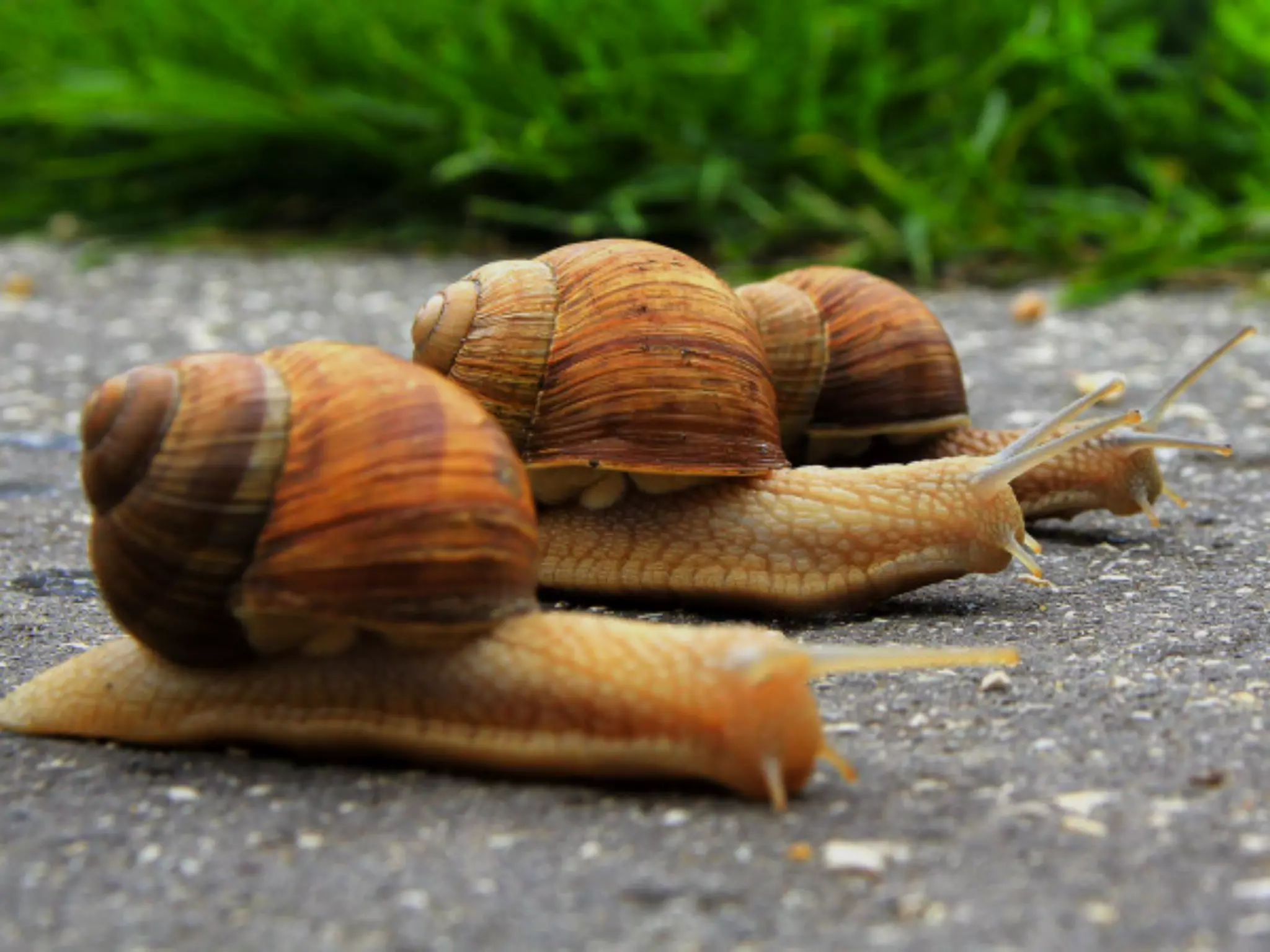 1:1 read-write ratio
 