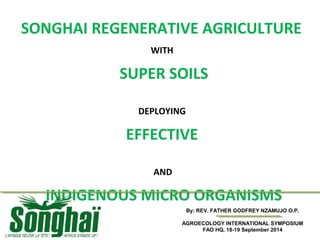 SONGHAI REGENERATIVE AGRICULTURE 
WITH 
SUPER SOILS 
DEPLOYING 
EFFECTIVE 
AND 
INDIGENOUS MICRO ORGANISMS 
By: REV. FATHER GODFREY NZAMUJO O.P. 
AGROECOLOGY INTERNATIONAL SYMPOSIUM 
FAO HQ, 18-19 September 2014 
 