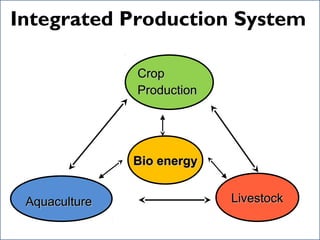 Songhai regenerative agriculture: super soils deploying effective and ...